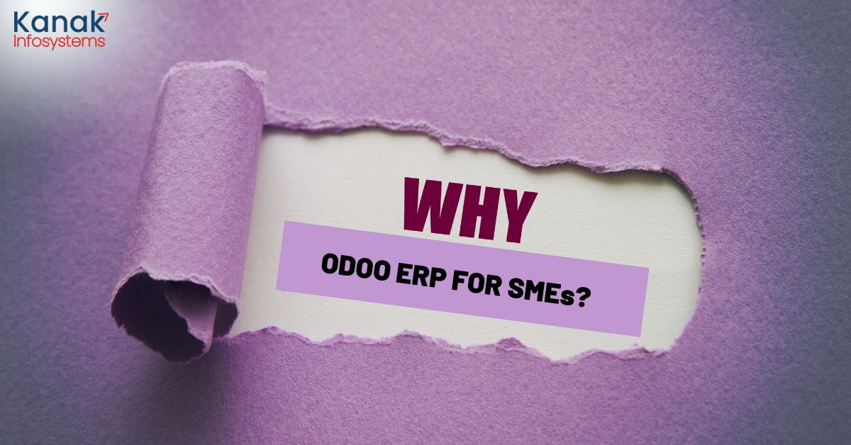 Why choose Odoo ERP for SMEs?