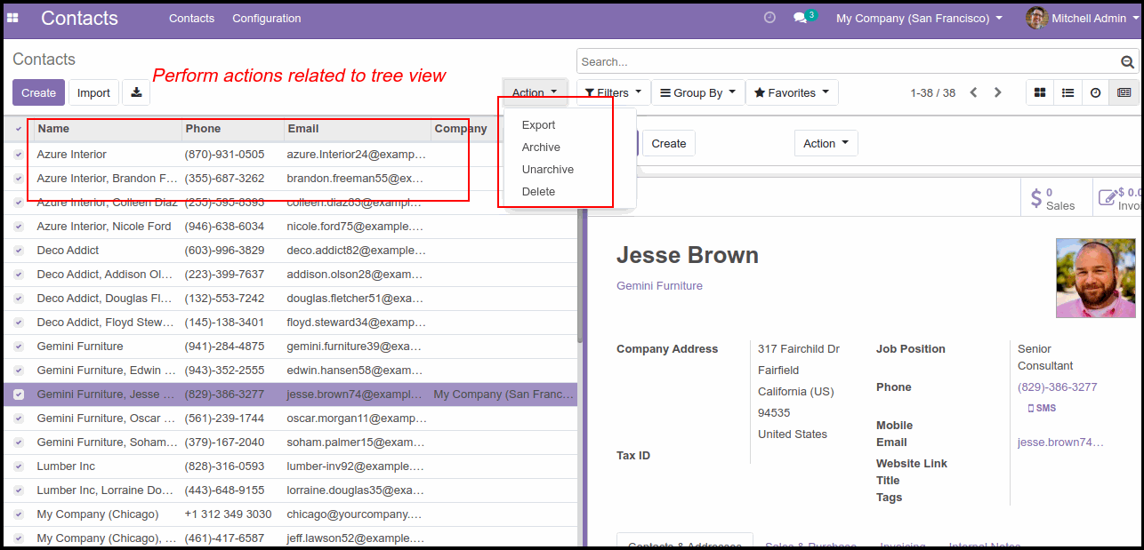 Odoo Pane View M​odule: Step by Step Guide