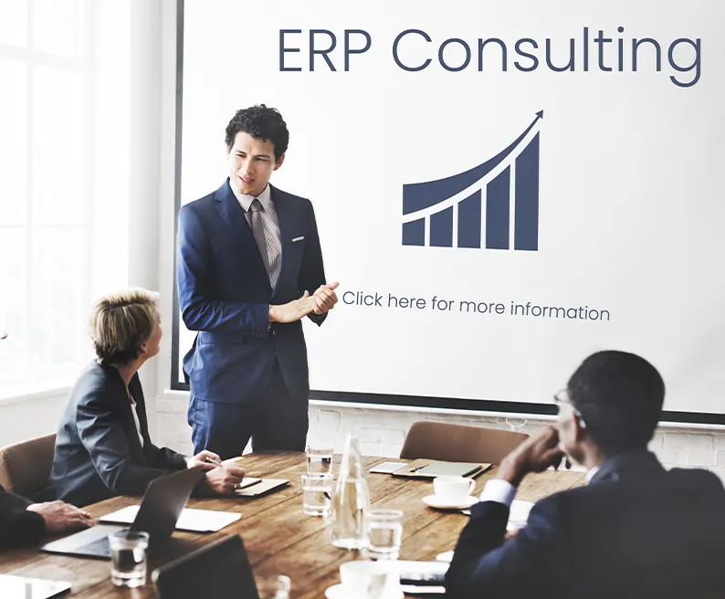 NetSuite ERP Consulting